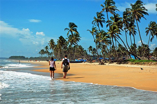 Beach Shacks in Goa that You Must Not Miss Visiting
