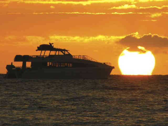 Maui Sunset Cruises: What Makes them Special?
