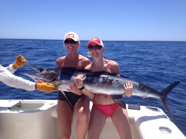 Cabo San Lucas Fishing