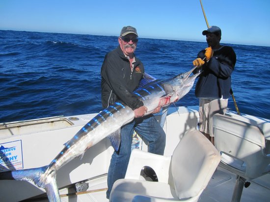 Fishing Striped Marlin in Cabo San Lucas