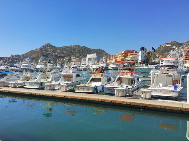 Book Cabo San Lucas Fishing boats