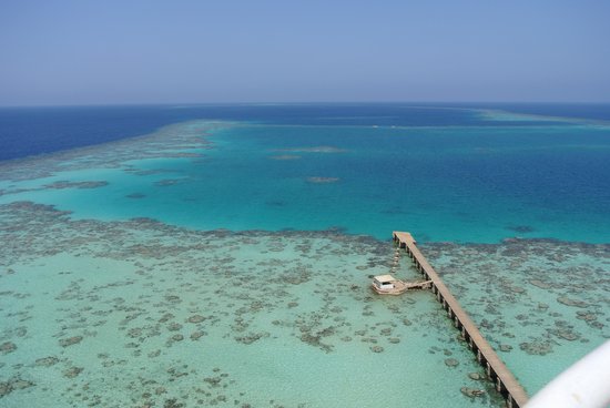 Red Sea reefs