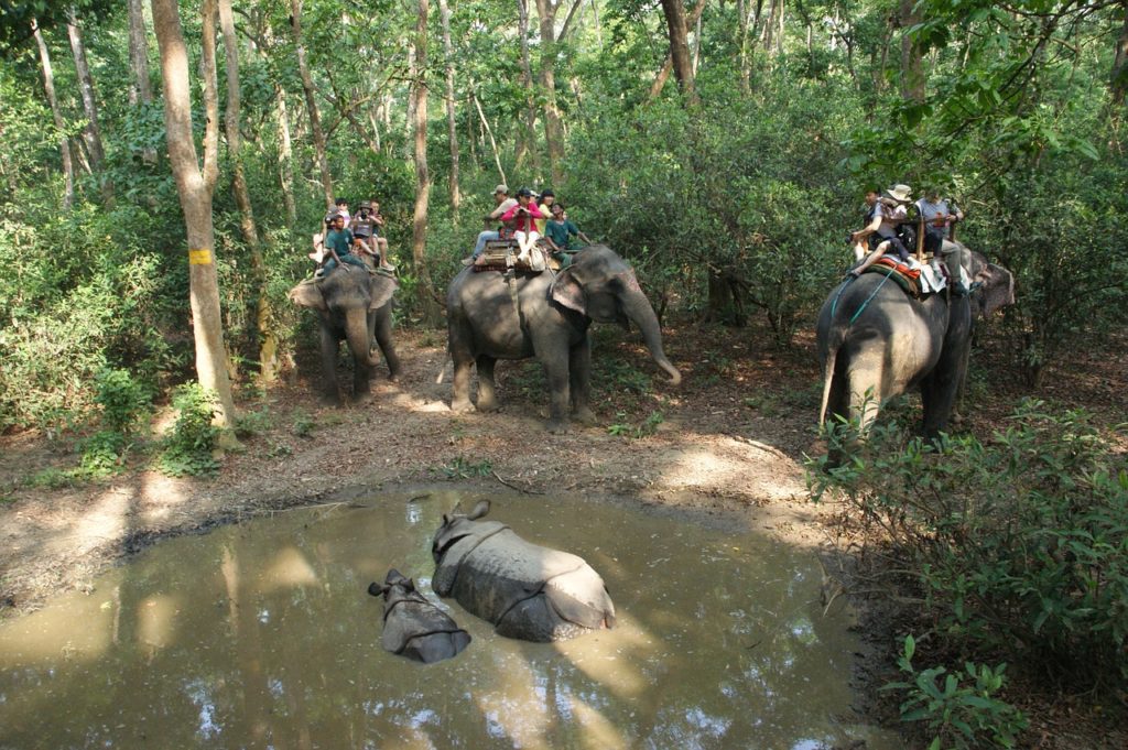 Chitwan National Park