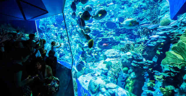 Dubai Aquarium