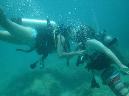 Underwater Wedding Proposal Photos