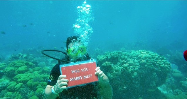 Underwater Wedding Proposal Photos