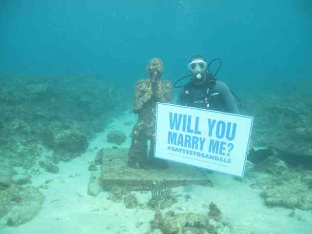 Underwater Wedding Proposal Photos