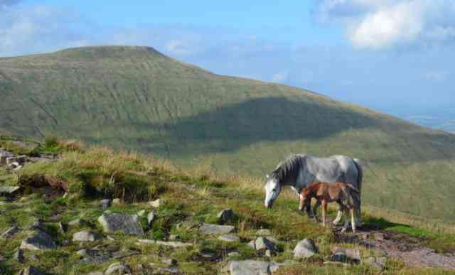 Brecon Beacons