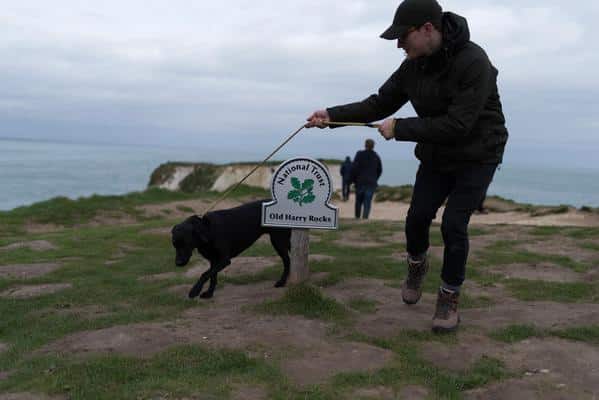 Old Harry Rocks