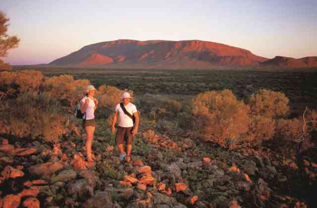 Mount Augustus Tour