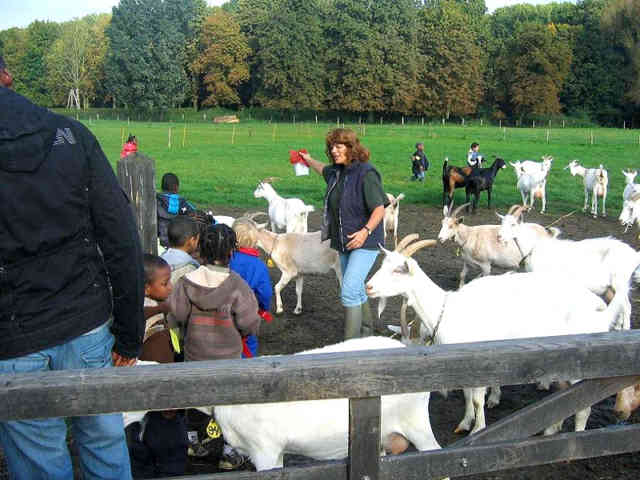 Geitenboerderij Ridammerhoeve