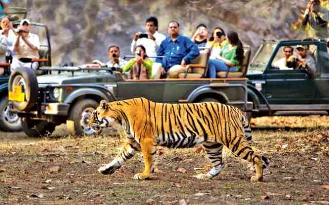 Jim Corbett National Park 3