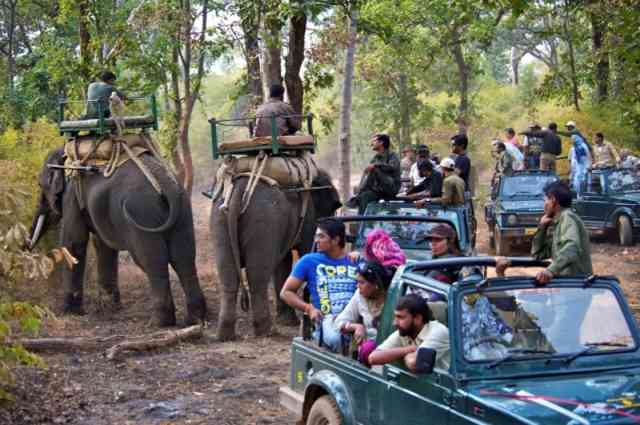 Jim Corbett National Park 2