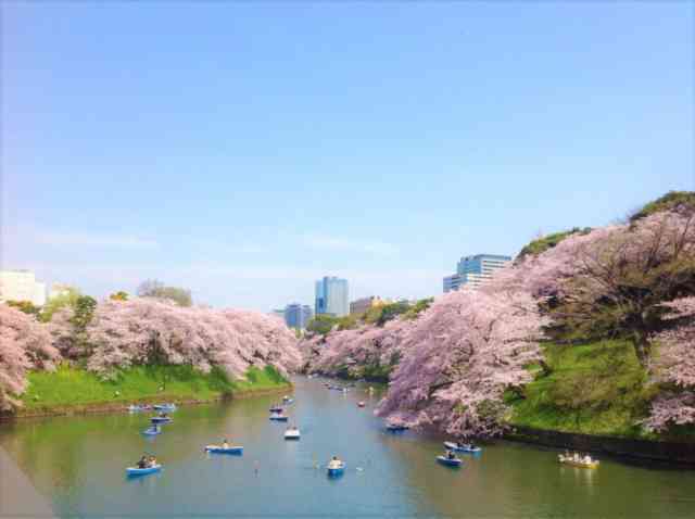 Chiyoda Festival