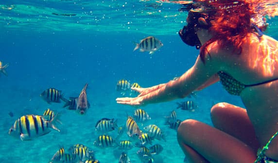 Cozumel Palancar Snorkeling Tour