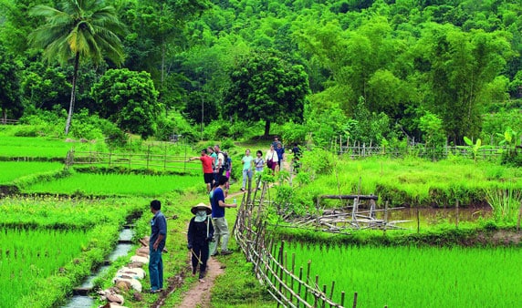 Cuc Phuong National Park