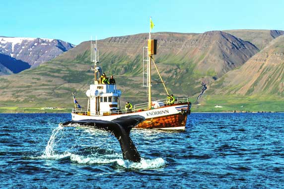 Hjalteyri in Northern Iceland