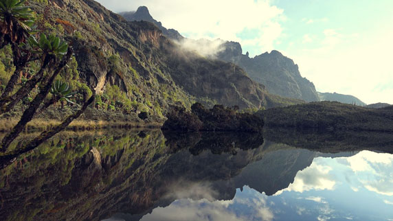 Rwenzori Mountains