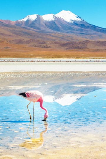 Salt Lake Uyuni 004