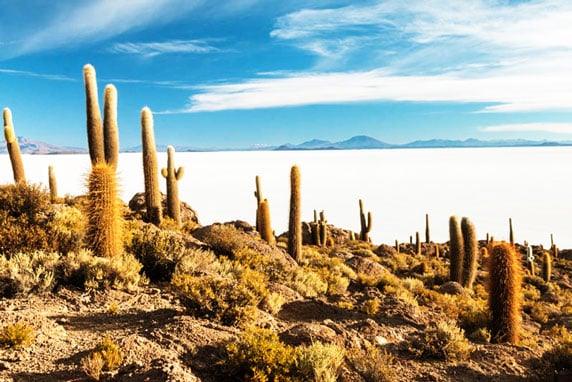 Salt Lake Uyuni 006