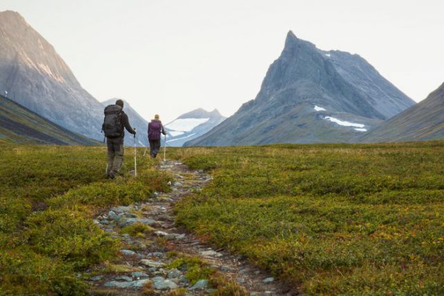 Swedish nature tours