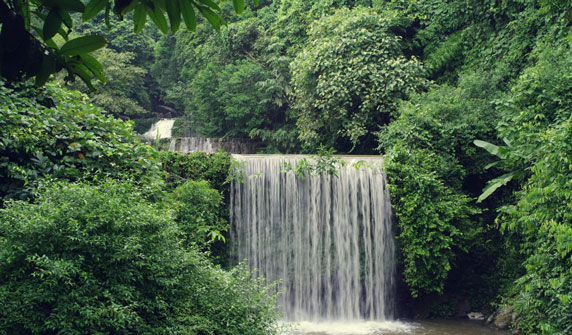 Ba Vi national park