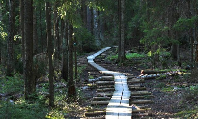 Central Park (Keskuspuisto)