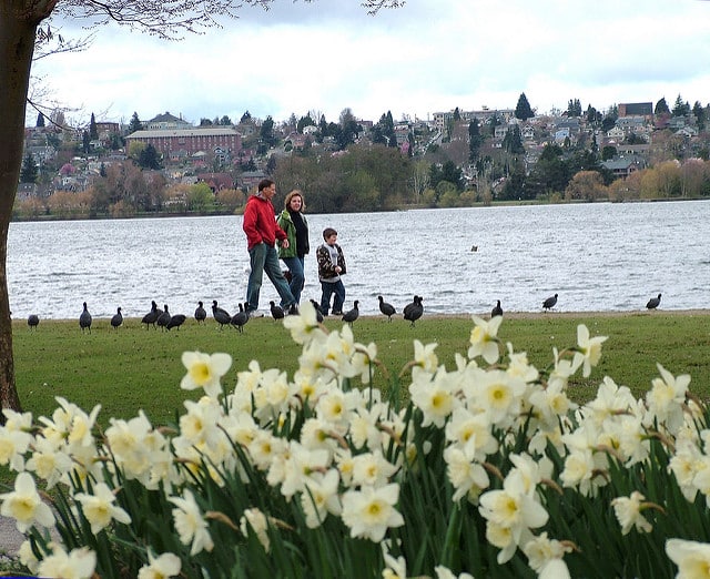 Green Lake Park