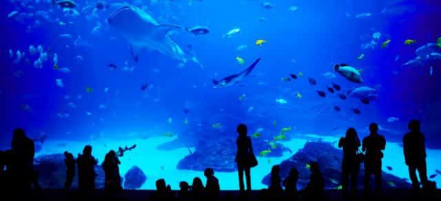 The Seattle Aquarium