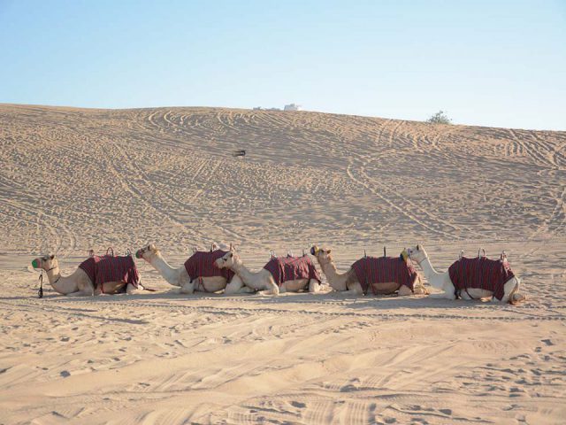 the uae desert