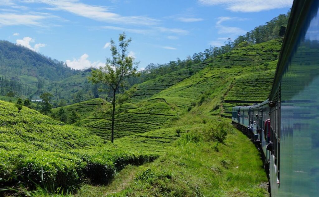 Ride the scenic train from Kandy to Ella