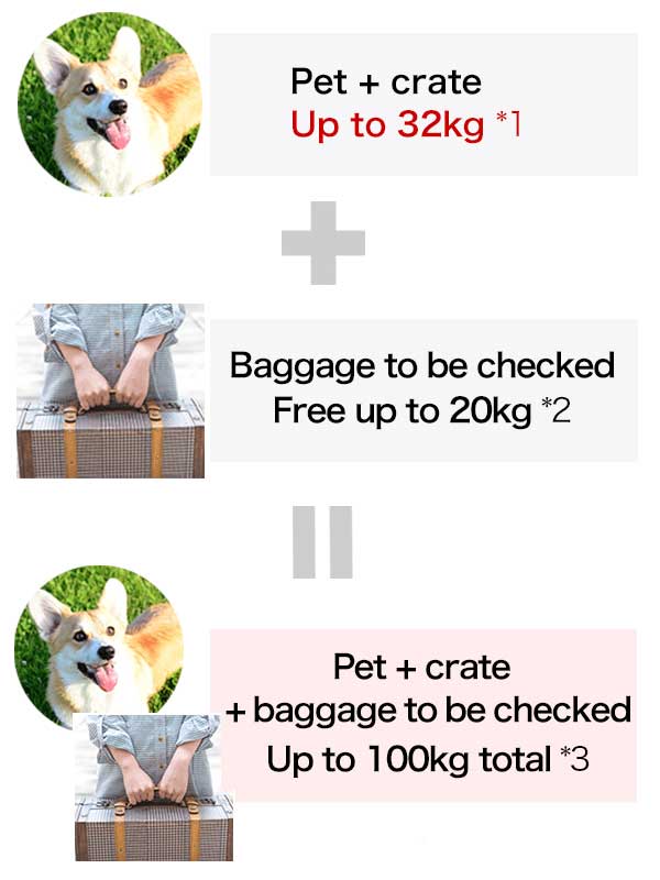 pet + crate+ baggage