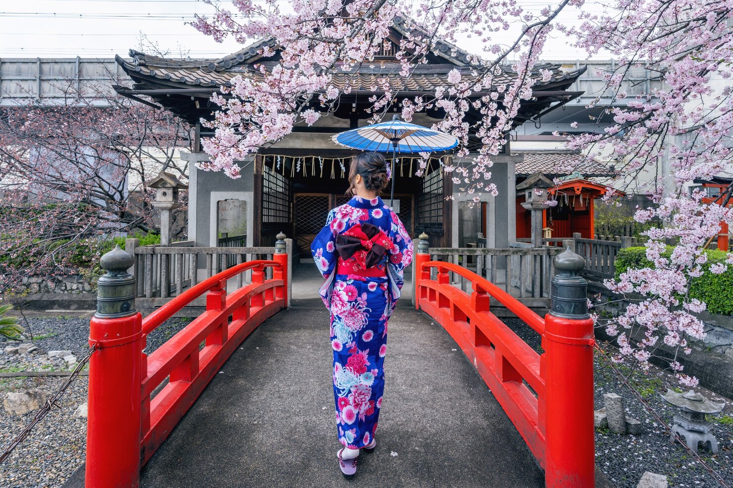 Kyoto, Japan, Cherry Blossom